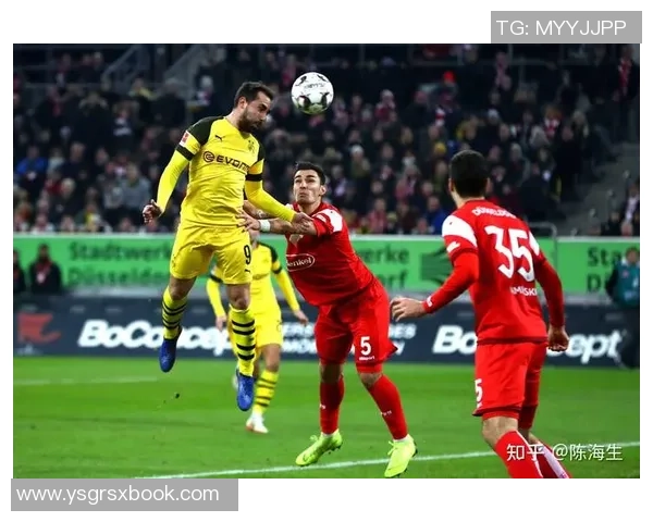 上海攀岩队节奏对比独家解析与训练策略深度剖析