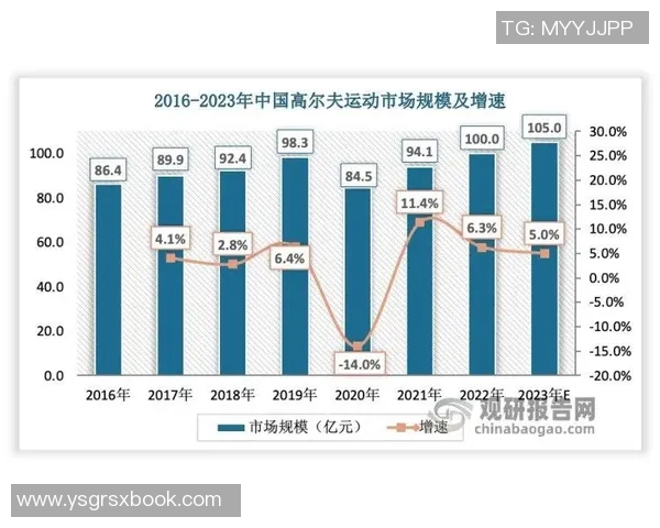 上海羽毛球队个人能力深度解析与发展潜力探讨