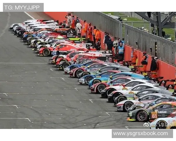 武汉乒乓球队耐力提升之路探讨与热议